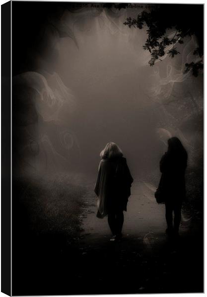  Into the unknown Canvas Print by sylvia scotting