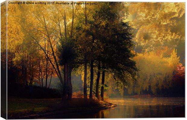  Golden Morning in Kent Canvas Print by sylvia scotting