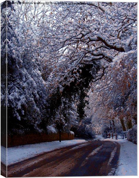 A winters tale Canvas Print by sylvia scotting