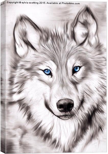  The Wolf Canvas Print by sylvia scotting