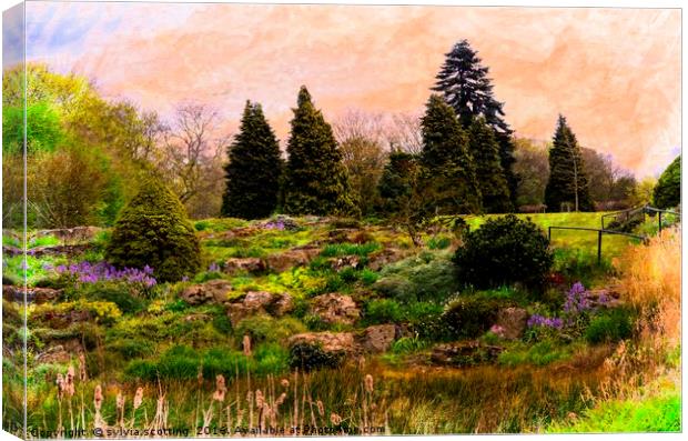 Stunning landscape Canvas Print by sylvia scotting