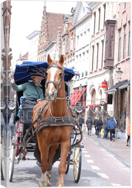 Brugge  Canvas Print by sylvia scotting