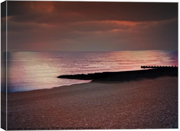 Calming sunset at Hastings  Canvas Print by sylvia scotting