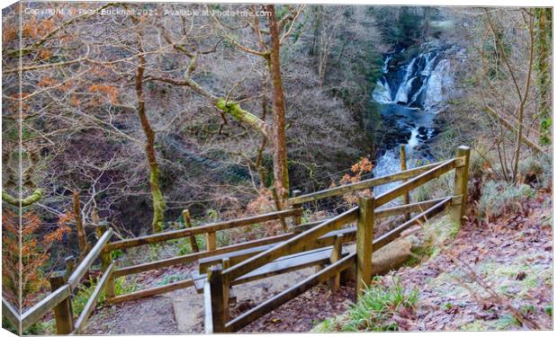 Swallow Falls from the Other Side in Snowdonia Canvas Print by Pearl Bucknall