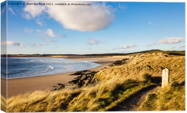 Malltraeth beach from Llanddwyn Anglesey Canvas Print by Pearl Bucknall