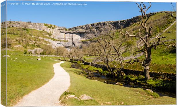 The Pennine Way to Malham Cove Yorkshire Dales Canvas Print by Pearl Bucknall