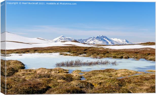 Outdoor Arctic Tundra Landscape in Norway Canvas Print by Pearl Bucknall