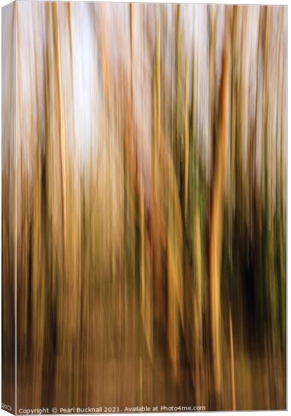 Blurred Woodland Trees Abstract Canvas Print by Pearl Bucknall
