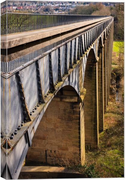 Pontcysyllte Aqueduct Llangollen Wales Canvas Print by Pearl Bucknall