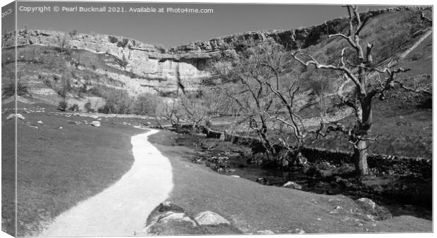 Pennine Way Malham Cove Yorkshire Black and White Canvas Print by Pearl Bucknall