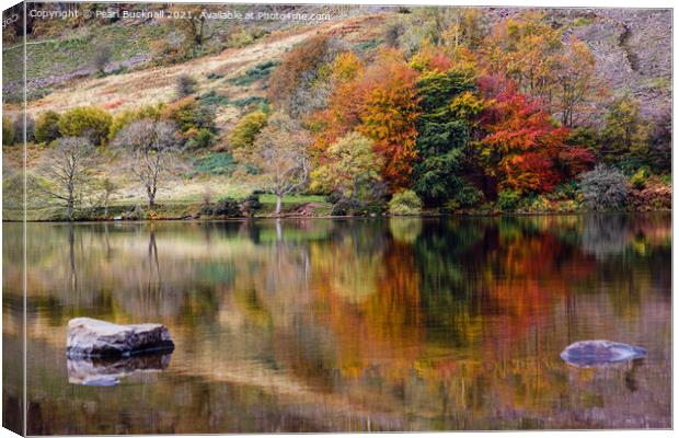 Autumn Reflections in Llyn Geirionydd Lake Canvas Print by Pearl Bucknall
