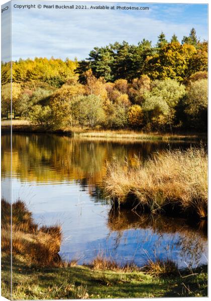 Autumn at Llyn Geirionydd Lake Snowdonia Canvas Print by Pearl Bucknall