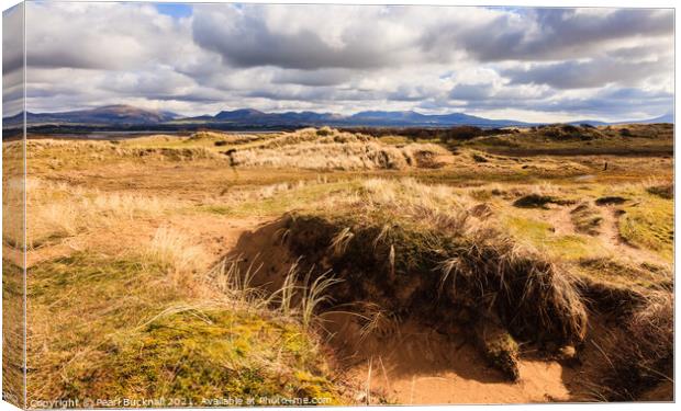 Newborough Warren Dunes Anglesey Canvas Print by Pearl Bucknall