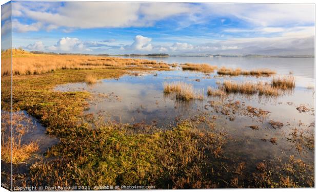 Newborough Warren and Menai Strait Anglesey Canvas Print by Pearl Bucknall