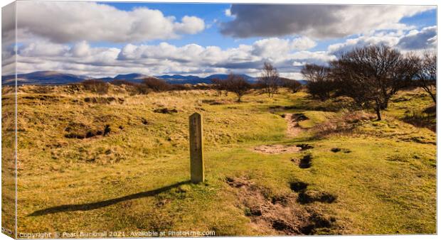 Sign on Path at Newborough Warren Anglesey Canvas Print by Pearl Bucknall