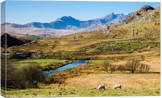 Snowdon Horseshoe from Capel Curig in Snowdonia Canvas Print by Pearl Bucknall