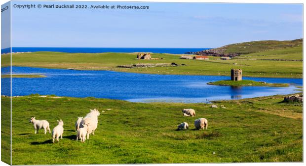 Loch Scolpaig North Uist Scotland Canvas Print by Pearl Bucknall