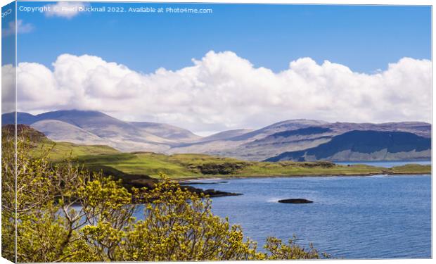 View across Loch Tuath Isle of Mull Canvas Print by Pearl Bucknall