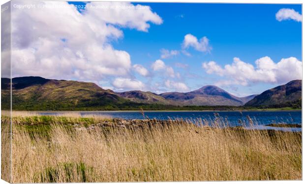 Loch Na Keal Isle of Mull Scotland Canvas Print by Pearl Bucknall
