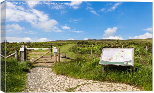 Path to Stiperstones Shropshire Canvas Print by Pearl Bucknall