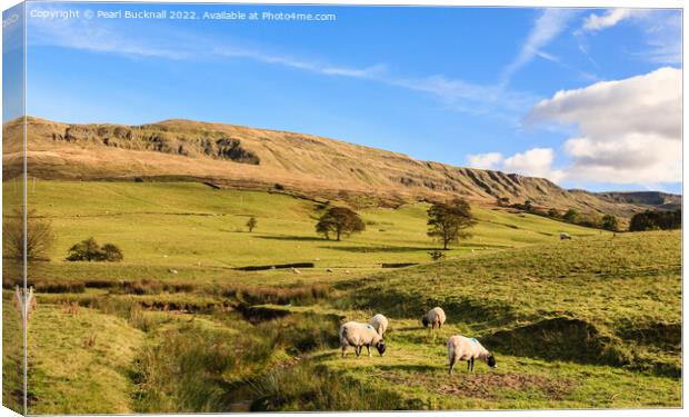 English Countryside Eden Valley England Canvas Print by Pearl Bucknall