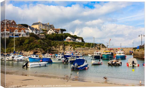 Newquay Harbour Cornwall Coast Canvas Print by Pearl Bucknall