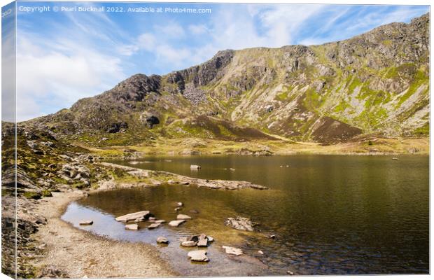 Moel Siabod Mountain Snowdonia Wales Outdoor Canvas Print by Pearl Bucknall