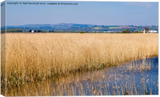 Newport Wetlands Nature Reserve Gwent Levels Wales Canvas Print by Pearl Bucknall