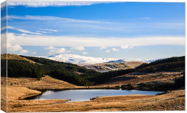 Plynlimon Mountain Lake Ceredigion Wales Outdoor Canvas Print by Pearl Bucknall