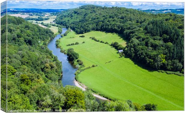 Green Wye Valley at Symonds Yat Gloucestershire Canvas Print by Pearl Bucknall