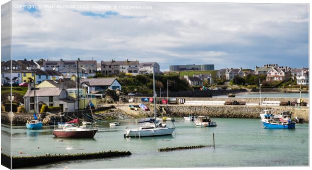 Cemaes Village Harbour Anglesey Wales Canvas Print by Pearl Bucknall