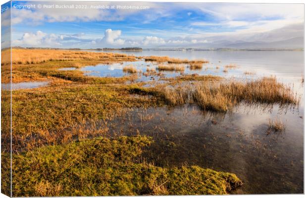 Newborough Warren and Menai Strait Anglesey Canvas Print by Pearl Bucknall