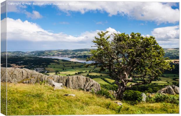 Conwy Valley Landscape Wales Canvas Print by Pearl Bucknall