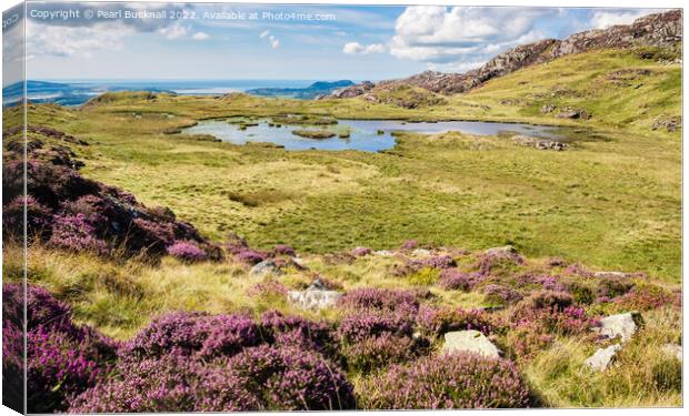 Snowdonia Landscape in Summer Outdoors Canvas Print by Pearl Bucknall