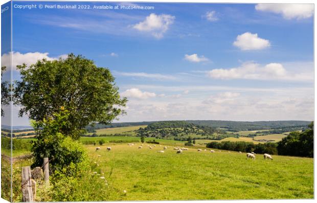 Country Scene South Downs Sussex Canvas Print by Pearl Bucknall
