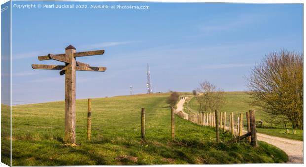 Path to Trundle Hill Sussex Downs Canvas Print by Pearl Bucknall