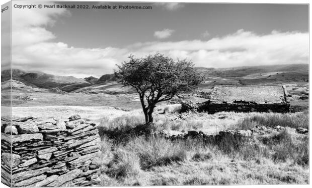 Cwm Pennant Snowdonia Landscape Black and White Canvas Print by Pearl Bucknall