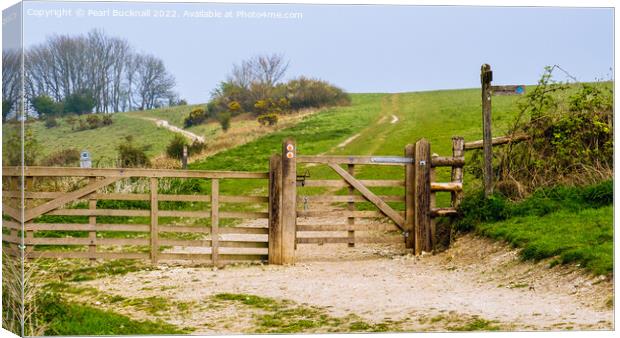 The Way to Harting Down Sussex  Canvas Print by Pearl Bucknall