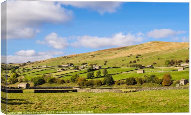 English Countryside Swaledale Yorkshire Dales Canvas Print by Pearl Bucknall