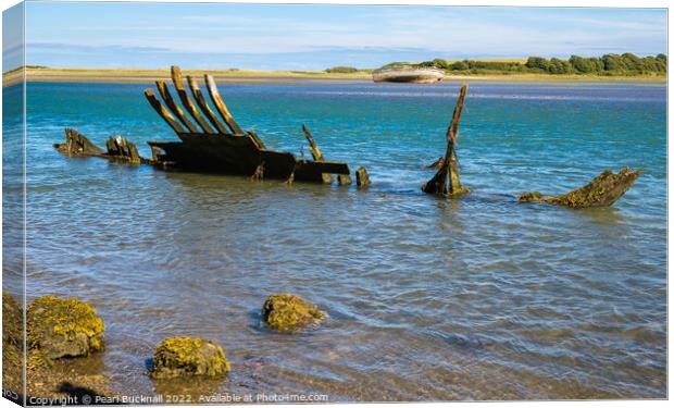 Traeth Dulas Shipwrecks Anglesey Canvas Print by Pearl Bucknall