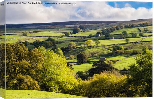 Scenic Swaledale Yorkshire Dales Canvas Print by Pearl Bucknall