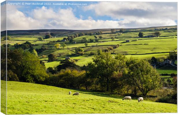 English Countryside Yorkshire Dales Canvas Print by Pearl Bucknall