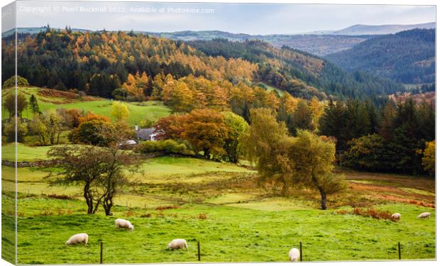 Welsh Countryside in Autumn Snowdonia Canvas Print by Pearl Bucknall