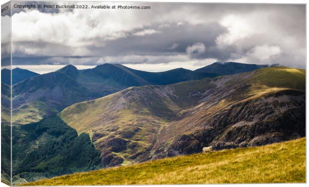Mountain Landscape from Moel Eilio in Snowdonia Canvas Print by Pearl Bucknall
