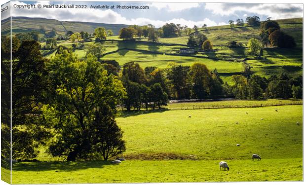 English Countryside Swaledale Yorkshire Dales Canvas Print by Pearl Bucknall