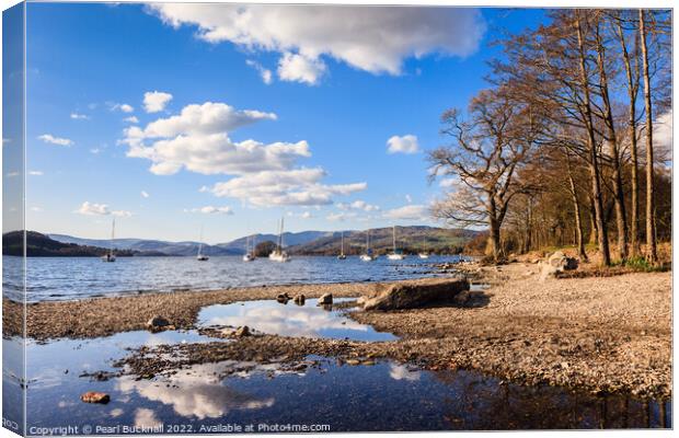 Lake Windermere Shore in Lake District  Canvas Print by Pearl Bucknall