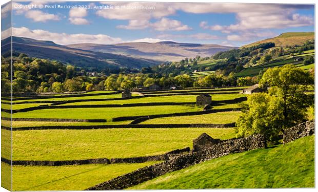 Swaledale Yorkshire Dales English Countryside Canvas Print by Pearl Bucknall