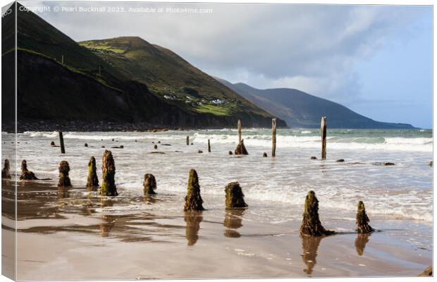 Ross Strand on Ring of Kerry Ireland Canvas Print by Pearl Bucknall