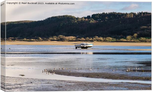 Feeding on the Tide Line Red Wharf Bay Anglesey Canvas Print by Pearl Bucknall
