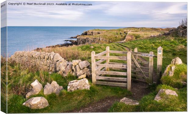 Anglesey Coastal Path Moelfre Canvas Print by Pearl Bucknall